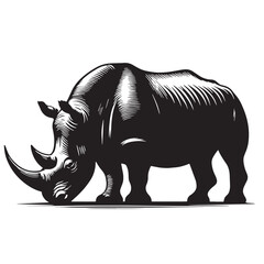 Fototapeta premium Black West African Black Rhinoceros Silhouette Vector, High Quality Illustration on White Background