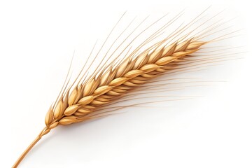 Golden wheat stalk, a symbol of harvest abundance and rural life's simple beauty, shown against a pure white background.