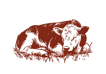 Hereford Cattle hand drawn sketch vector illustration