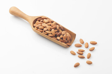 Almond is a deciduous tree in the rose family. It grows to about 6 meters in height and has lanceolate leaves with serrations.
