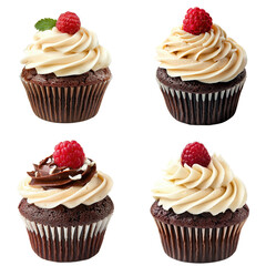 Delicious Chocolate Cupcake with Raspberry Topping 