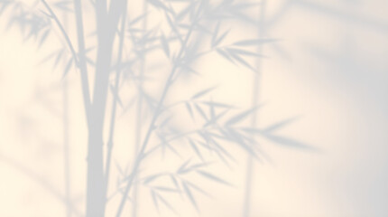 Blurred bamboo branches shadow creating relaxing background on white wall