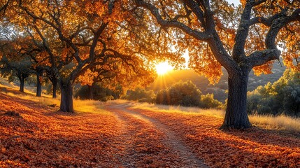 Autumn road winds through colorful trees in park and forest