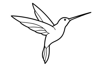 minimalist hummingbird in flight line art vector illustration