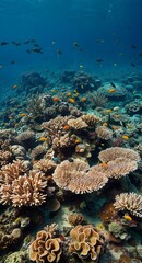 Fototapeta premium Vibrant Coral Reef Ecosystem Teeming with Colorful Fish Beneath Crystal Clear Ocean Waters
