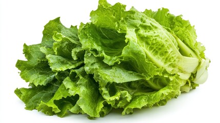 Fresh green lettuce leaves isolated on white background. (1)