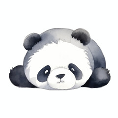 panda lay on floor cute watercolors illustration on white background © yuniazizah