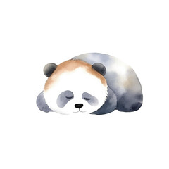 panda lay on floor cute watercolors illustration on white background © yuniazizah
