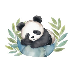 panda sleeping cute watercolors illustration on white background © yuniazizah