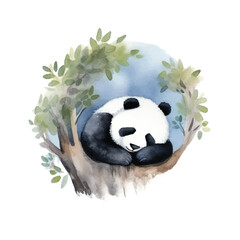 panda sleeping cute watercolors illustration on white background © yuniazizah