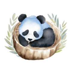 panda sleeping cute watercolors illustration on white background © yuniazizah