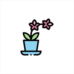 flower in pot