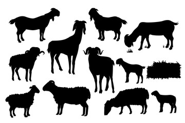 Goat and Sheep Silhouette. Black and white Vector Illustration