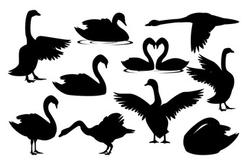 Swan Silhouette. Black and white Vector Illustration