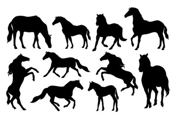 Horse Silhouette. Black and white Vector Illustration