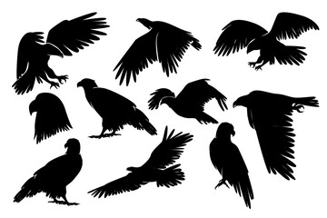 Eagle Silhouette. Black and white Vector Illustration
