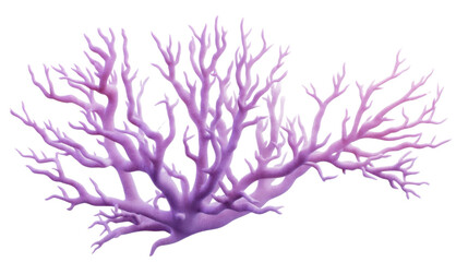 Naklejka premium lilac branch isolated on white background