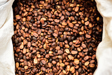 Fototapeta premium In the honey process, coffee beans are dried under the sun. As the pulp and mucilage ferment, they give the beans a yellowish-brown color.