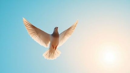 Obraz premium Dove flying towards the light