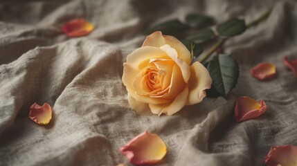A single pale orange rose rests on linen fabric