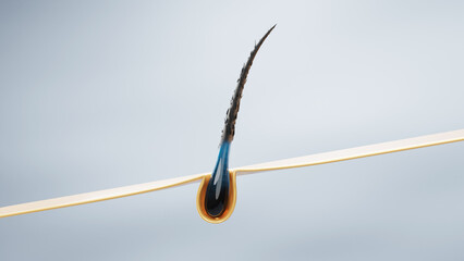 3D close-up of a hair strand emerging from the scalp, illustrating follicle strength and root health. Ideal for hair care, scalp treatment, or anti-hair loss concepts.