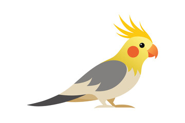 Obraz premium golden pheasant isolated on white