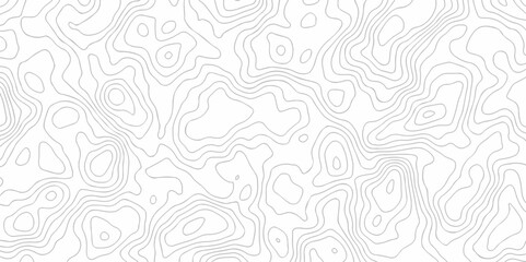 Abstract curve grid map and topo contour map on white background, Topographic contour lines. Seamless pattern with lines Topographic map. Geographic mountain relief diagram line wave carve design.	
