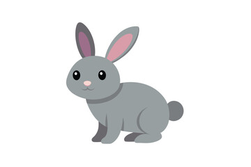Obraz premium white rabbit isolated on white