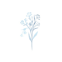 Plant branches, flowers, leaves, sprout watercolor