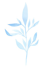 Plant branches, flowers, leaves, sprout watercolor