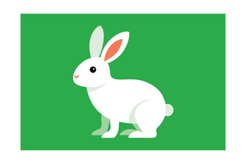 Fototapeta premium rabbit