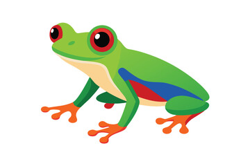 Obraz premium green eyed tree frog