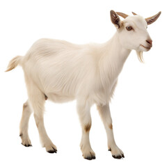 Obraz premium Goat AI Generated Image