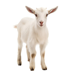 Goat AI Generated Image