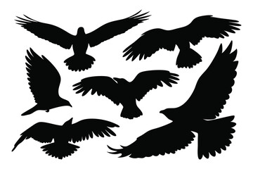  Bird with wings and feathers silhouettes set isolated flat vector illustration on white background.