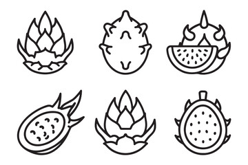 Fototapeta premium Dragon Fruit line art set isolated flat vector illustration on white background.