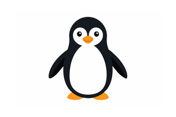 penguin on a white background