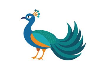 Obraz premium peacock vector illustration