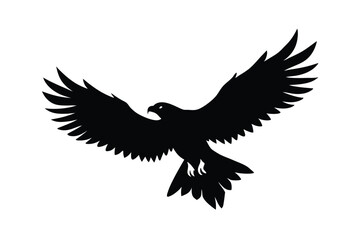 eagle on white background