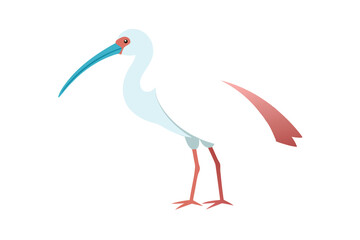 illustration of a white stork