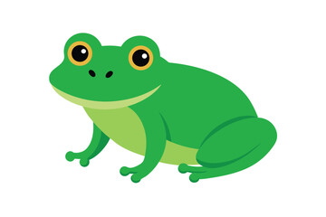 frog on white background