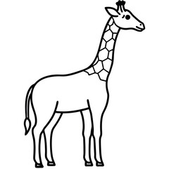 Obraz premium A giraffe-line-art-vector-illustration 