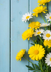 Fototapeta premium Vibrant Yellow and White Daisies against a Light Blue Wooden Background