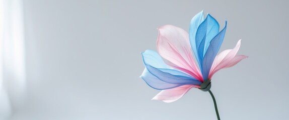 Fototapeta premium Artificial Flower with Blue and Pink Petals.