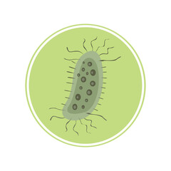 Simple illustration of a bacterium