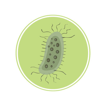Simple illustration of a bacterium