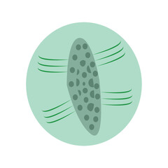 Simple Illustration of a Single-celled Organism