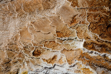 Mammoth hot springs