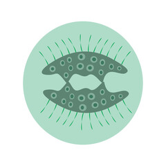 Simple, symmetrical, stylized organism with radiating appendages and patterned body