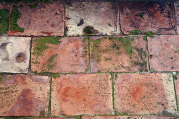 le carrelage et sa mousse
